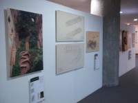 /album/fotogaleria/photo2-jpg2/